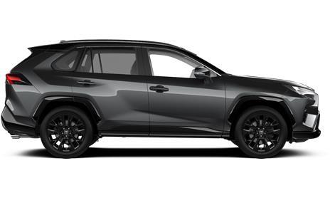 RAV4 Style Hybrid