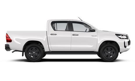 Hilux Petrol Pro