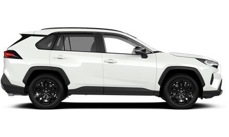 RAV4 Elegant