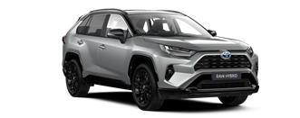 RAV4 Style SUV