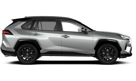 RAV4 Style