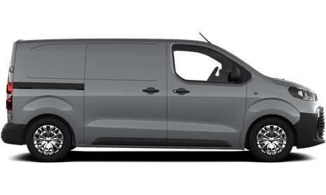 Proace Icon