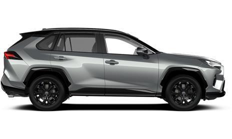 RAV4 Style