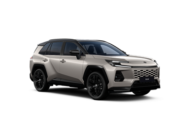 RAV4 hybrid 2.5 TNGA HEV 25H-