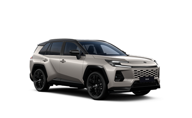 RAV4 hybrid 2.5 TNGA HEV 25H-