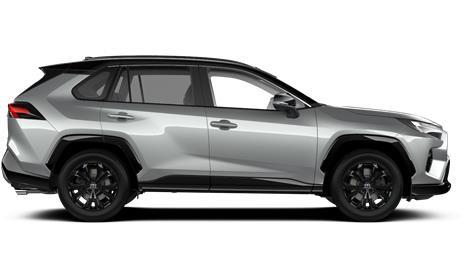 ראב4 HYBRID E-MOTION SKY 2X4