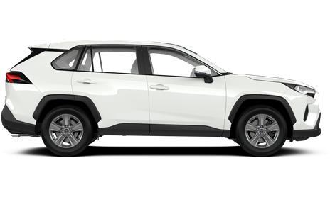 ראב4 HYBRID E-VOLVE 2X4