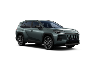 RAV4 hybrid 2.5 Hybrid