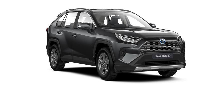 RAV4 Luxury Ash Grey (1G3), frame 3
