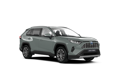 RAV4 Luxury Limited Pilsētas SUV