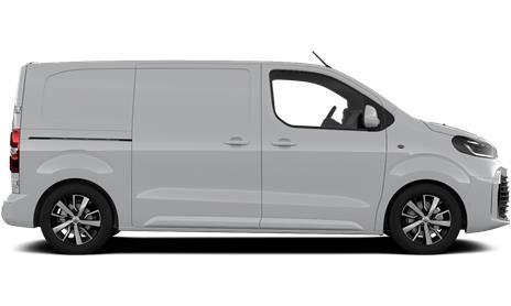 Proace Professional