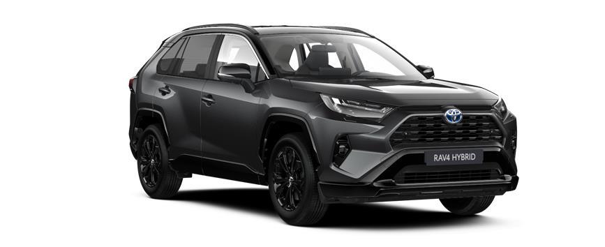 RAV4 Style Tvåtonslack 1G3/218 (2QZ), frame 3