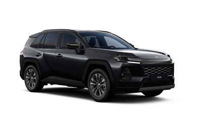 RAV4 hybrid 2.5 Hybrid