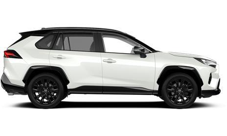 RAV4 Style