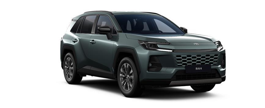 RAV4 Teamplayer Everest Green Metallic (6X7), frame 3