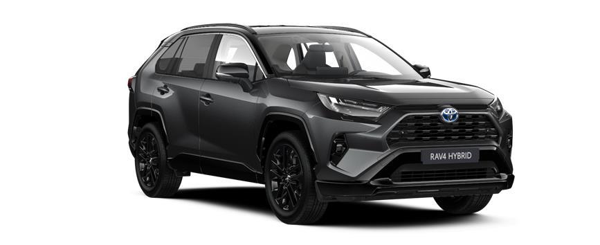 RAV4 Style Hybrid Ash Grey / Black Metallic, frame 3