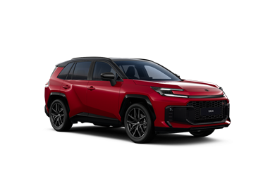 RAV4 hybrid 2.5 l Hybrid