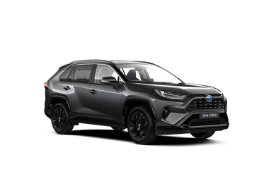 RAV4 Style MPV 5 Doors (LWB)