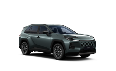 RAV4 hybrid 2.5 Hybrid