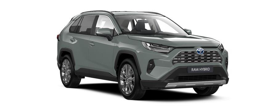 RAV4 Executive Zelená Urban, frame 3