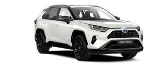RAV4 Style SUV