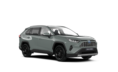 RAV4 Luxury Limited Linnamaastur