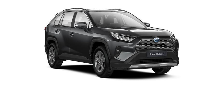 RAV4 Luxury Ash Grey (1G3), frame 3