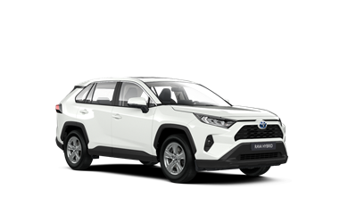 RAV4 BUSINESS 