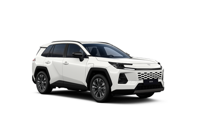 RAV4 hybrid 2.5 PHEV