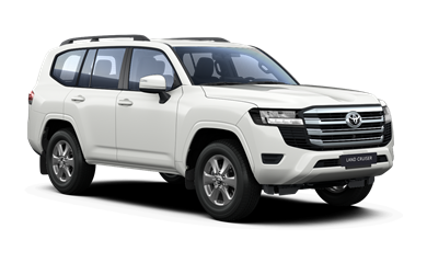 LC 300 AX 5 ადგილიანი 