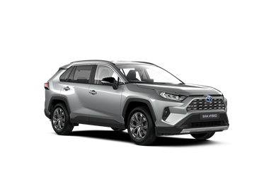 RAV4 Luna 