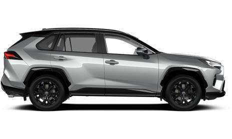 ראב4 HYBRID E-MOTION 2X4