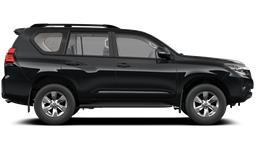 GX 5 dyra