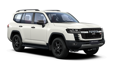 Land Cruiser 300 Терра 