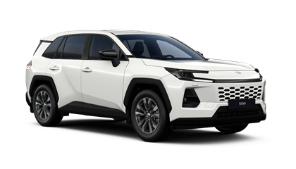 RAV4 petrol 2.0л Бензин