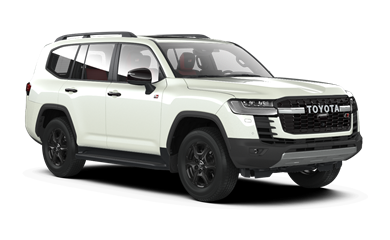 Land Cruiser 300 Терра 