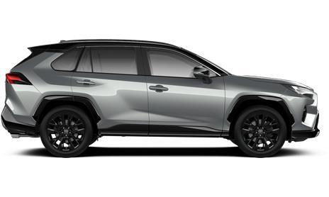 RAV4 Style