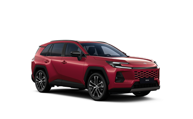 RAV4 hybrid 2.5 l Hybrid