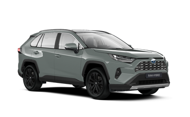 RAV4 Luxury Limited Pilsētas SUV