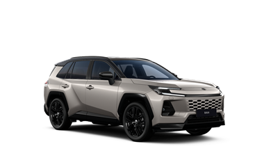 RAV4 plugin 2.5 Plug-in Hybrid