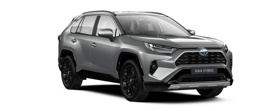 RAV4 Style Zircon Silver metallic (1D6), frame 3