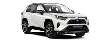 RAV4 Style Bi-Tone