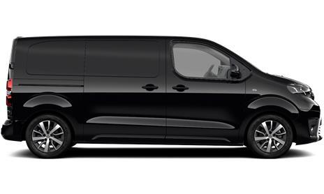 Proace Professional