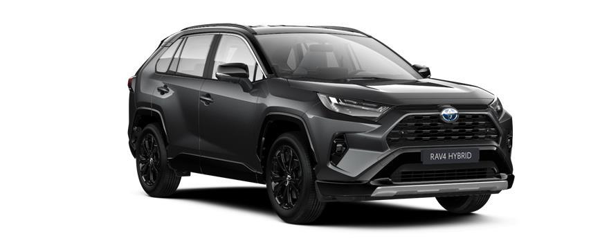 RAV4 Style Tvåtonslack 1G3/218 (2QZ), frame 3