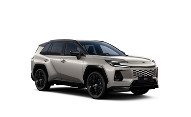 RAV4 hybrid 2.5 hybrid