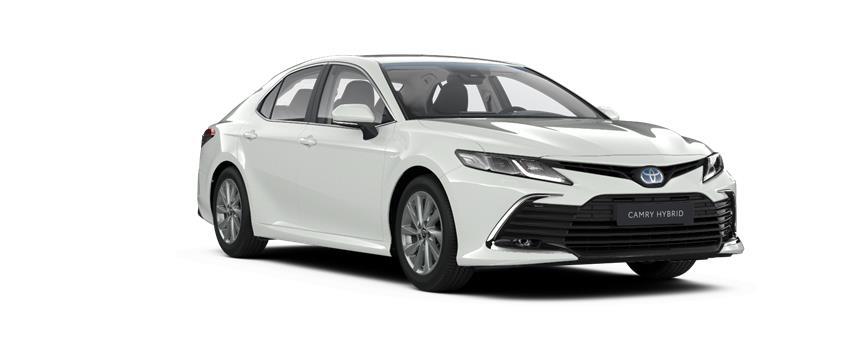 CAMRY Style Bela Pure (040), frame 3