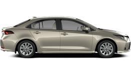Hybrid Dream -