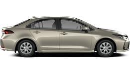 Hybrid Vision -