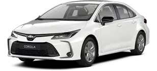 Corolla